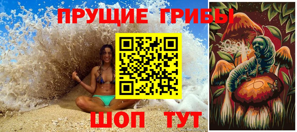 Псилоцибиновые грибы мицелий  Галлюциногенные грибы Psilocybine cubensis  Вход с VPN  Балашов 